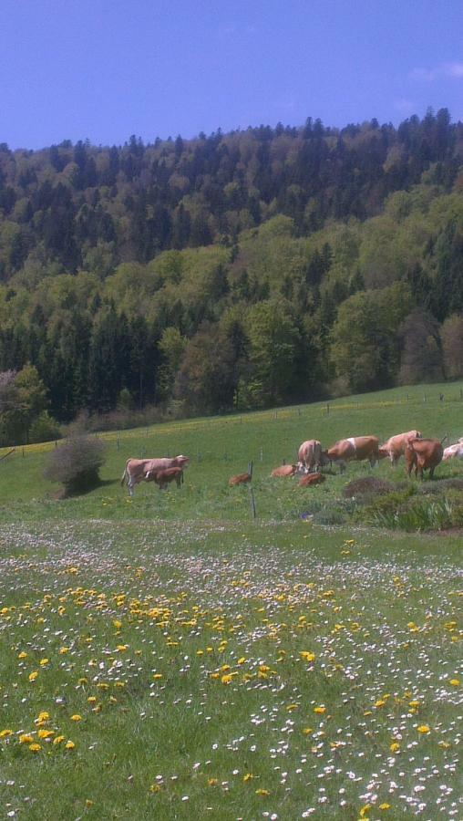 Apartament La Petite Fleur Enges Zewnętrze zdjęcie